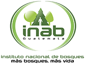 inab.gob.gt-logo
