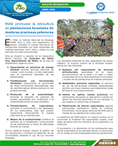 PORTADA WEB Boletín maderas preciosas