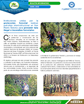 PORTADA WEB Boletín tala san pedro