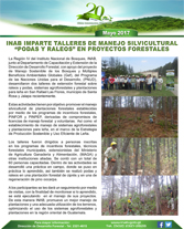 Boletin Talleres silvicultura