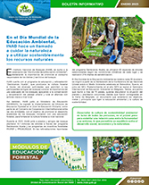 Boletín día mundial de la educación ambiental