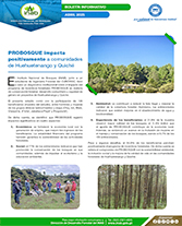 PORTADA WEB Boletín Impactos de PROBOSQUE