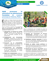 PORTADA WEB Boletín maderas preciosas dolores