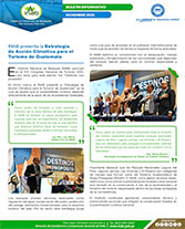 011225 Boletín Estrategia Portada web
