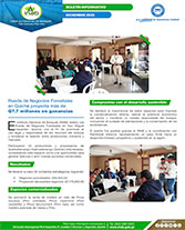 011225 Boletín Negocios Uspantán Portada web