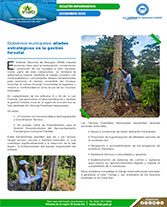 Boletín Las municipalidades aliadas web Portada web