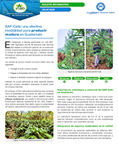 PORTADA WEB Boletín SAF café