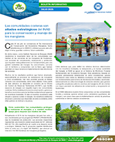 PORTADA WEB Boletín manglares