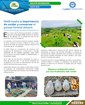 PORTADA WEB Boletín día del árbol
