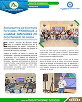 PORTADA WEB Boletín incentivos Jalapa