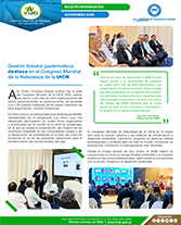 011125 PBoletín Abu Dabí