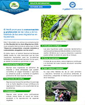 PORTADA WEB Boletín aves migratorias