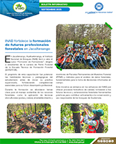 PORTADA WEB Boletín Esteffor