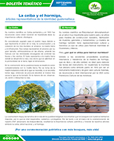 PORTADA WEB Boletín árboles emblemáticos