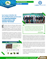 Boletín ForestMarketGt Portada web