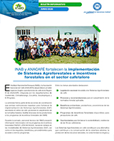 Boletín Caficultores Portada web