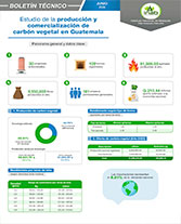 Boletín Carbón Vegetal Portada web