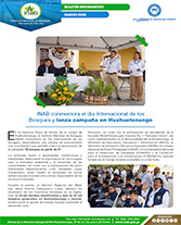 Boletín INAB Conmemora El Día Internacional de los bosques Portada web