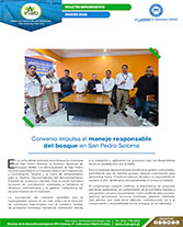 Boletín manejo soloma Portada web