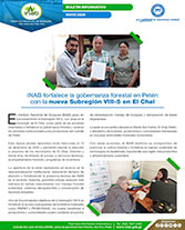 Boletín Gobernanza Petén Portada web