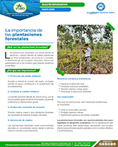 Boletín Plantaciones Forestales Portada web