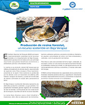 Boletín Producción Resina Portada web
