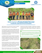 Boletín Productividad Portada web