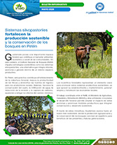 Boletín Sistemas Silvopastoriles Portada web