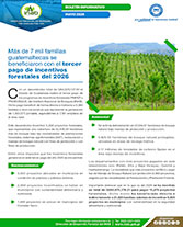 Boletín Tercer Pago Portada web