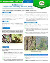 Boletín Tropidacris Cristata Portada web