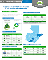 Boletín Volumen Industrias Forestales Portada web