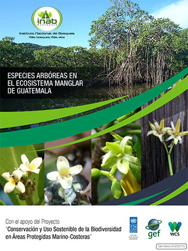 especies arboreas en el ecosistema manglar de guatemala